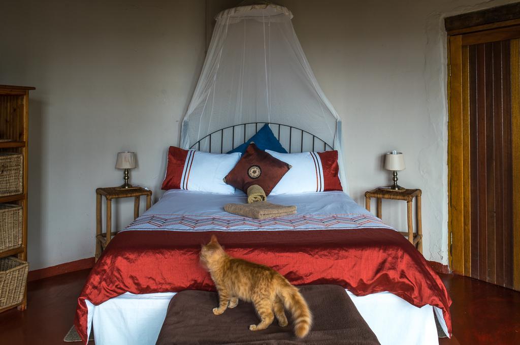 Delicious Monster Accommodation Port Saint Johnʼs Buitenkant foto